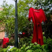 red dresses at UVA campus