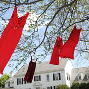 Image of red dress installation